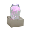 jellyfish2.png